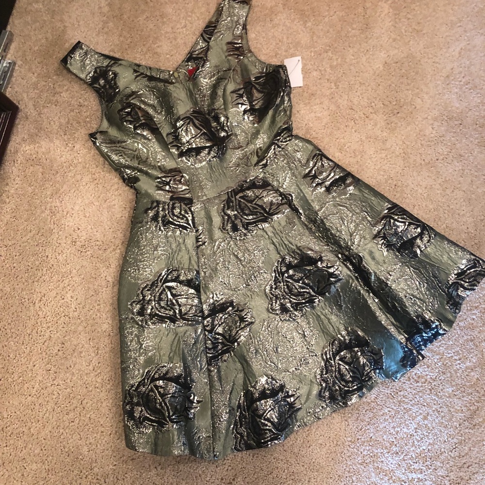 Absolutely Gorgeous mini-dress Akira Chicago nwt!